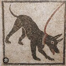 Ferrets, dogs, and monkeys were the most popular pets in the Roman Empire