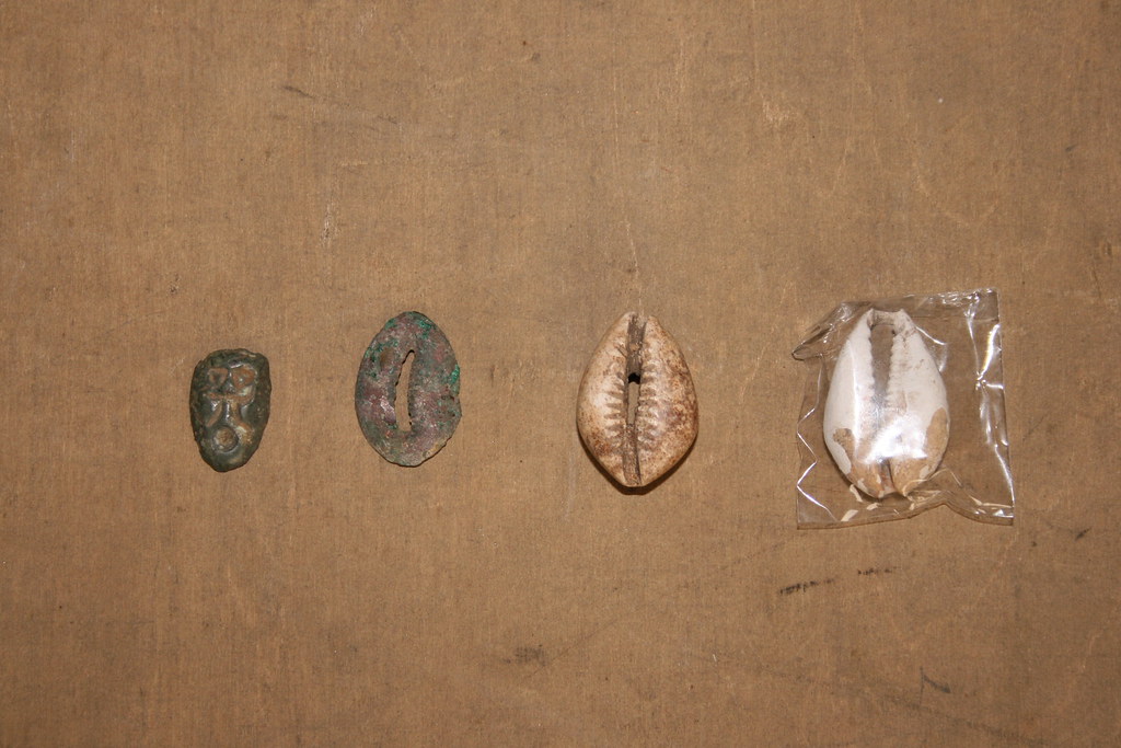 Cowrie Shell Origin Cowrie shell money: Cowrie shells and the rise of