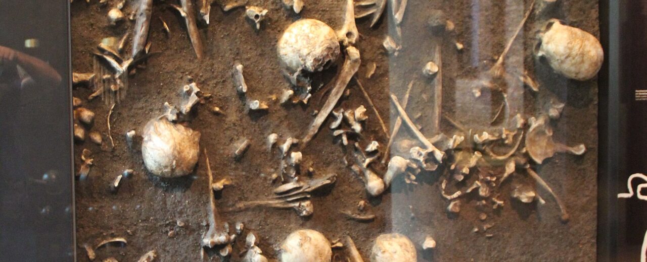 Tollense Valley battlefield