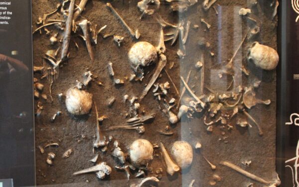 Tollense Valley battlefield