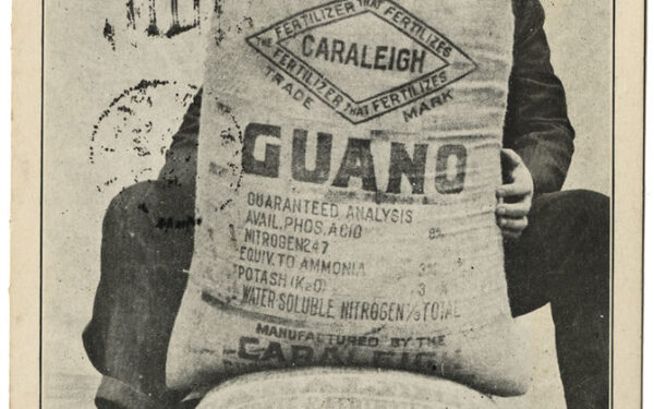 Guano trade: and the fertilizer boom