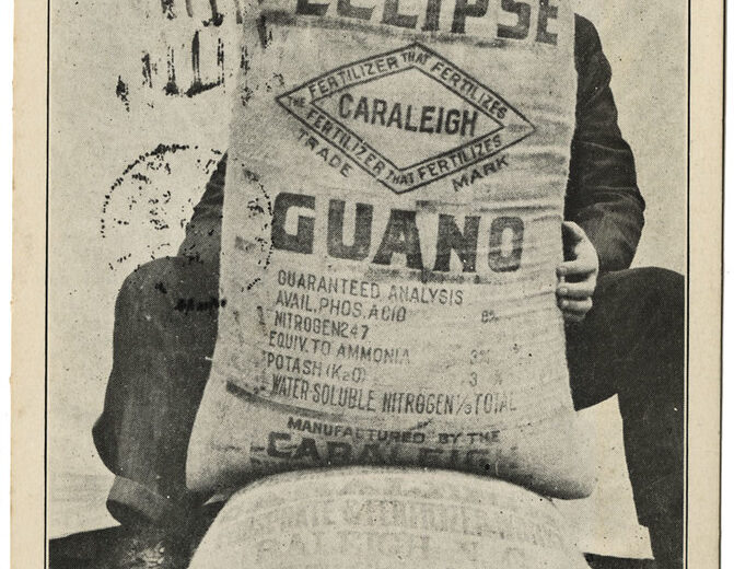 Guano trade: and the fertilizer boom