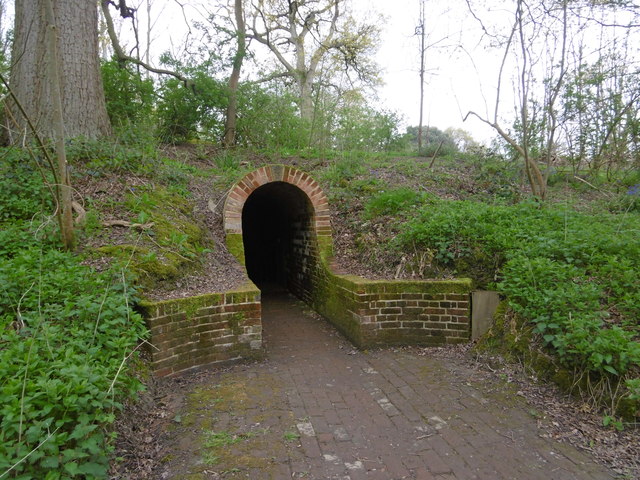 Ice trade: The Ice King