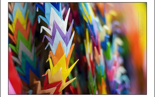 First colour photograph: James Clerk Maxwell and the First