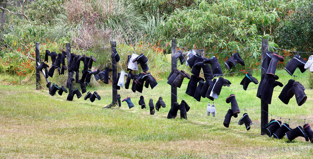 Kauri gum trade: the forgotten commodity that made Auckland