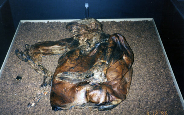 Lindow Man: the bog body that changed British