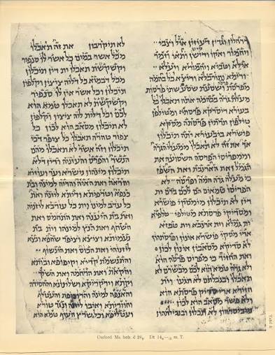 Cairo Geniza: How Discarded Documents Recovered Medieval Lives